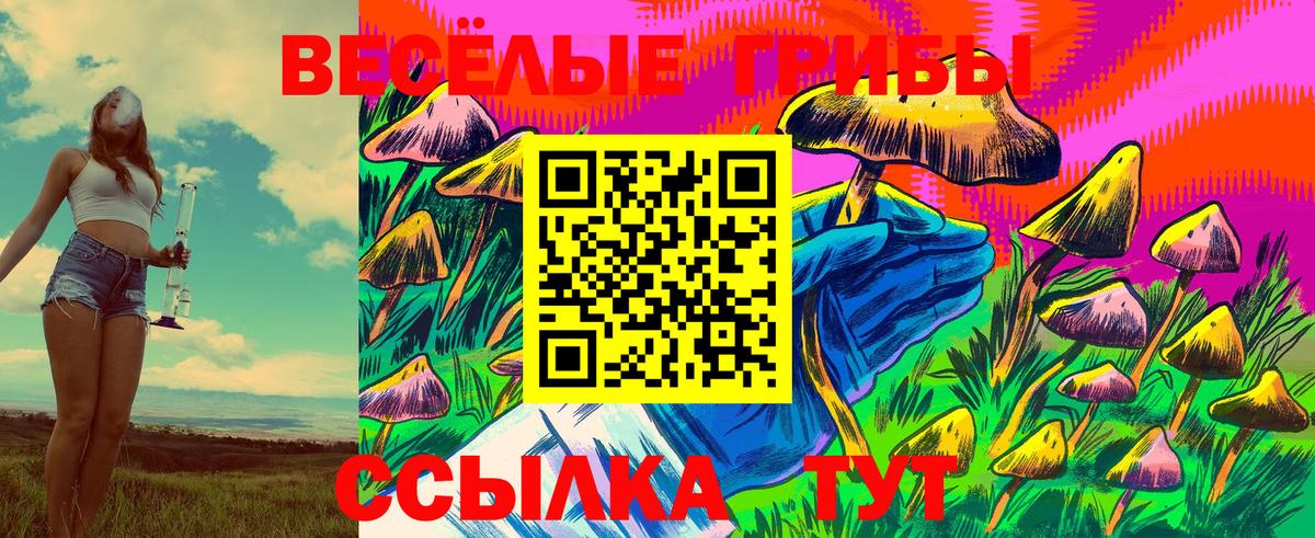 где продают наркотики  Псилоцибиновые грибы Magic Shrooms  Галлюциногенные грибы мицелий  Вход с VPN  Нерюнгри 
