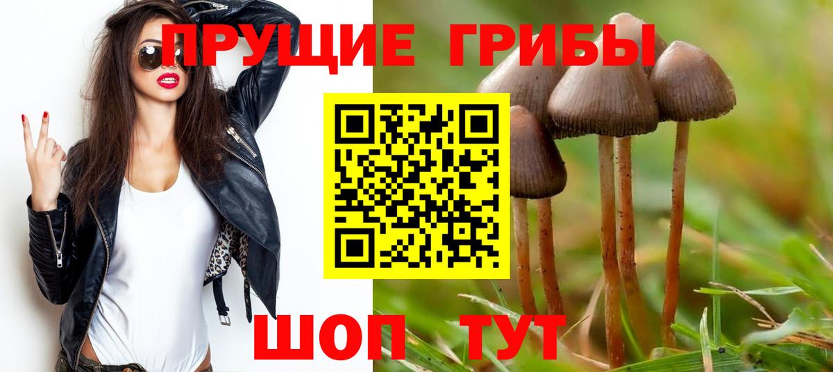 Галлюциногенные грибы Magic Shrooms Нерюнгри